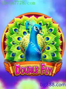 DoubleFly